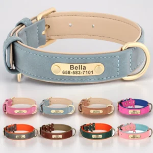 Personalized Leather Dog Collar with Custom ID Tag
