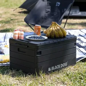 Foldable Camping Storage Box for Car and Travel