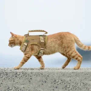 Unleash Your Cat's Inner Beast: Tactical Cat Harness