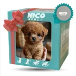 Interactive Walking and Barking Plush Puppy Toy